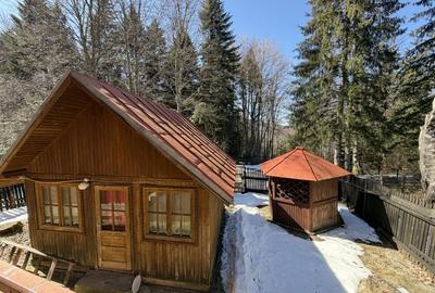 Casă individuală cu 9 camere cu Teren 515 Mp în Predeal - 19