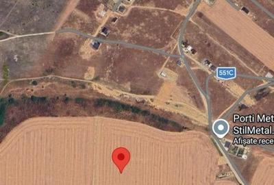 Teren de 5000 mp, în Preajba - 7