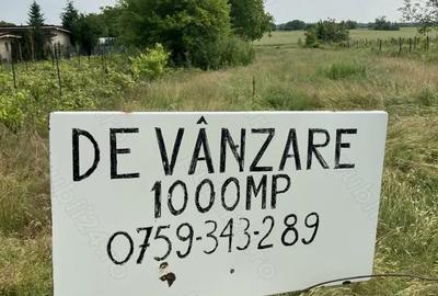 Teren de 1000 mp, în Sitaru - 5