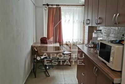 Apartament cu 1 camera, Zona Modern, In apropiere de facultati - 2