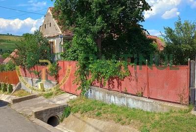 Casă cu teren 1.647 mp de vânzare - Hașag, Sibiu - 2