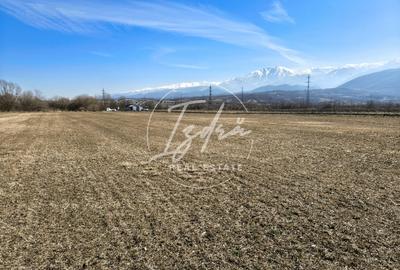 Teren agricol extravilan de 2800 mp, în Periferie - 2