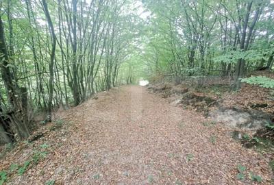 Casă cu 2 camere cu Teren 1000 Mp în Vulcan - 5