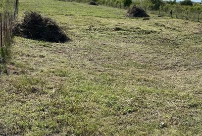 Spațiu comercial, în Sălicea - 4