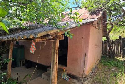 Casă cu 2 camere în Cleanov - 2