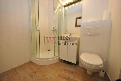 Apartament cu 2 camere în Domenii - 10