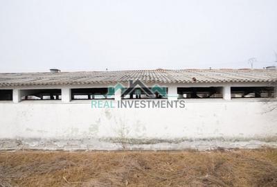 Spațiu comercial, de 20,000 mp, în Semlac - 3