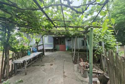 Casa, Dor Marunt, Calarasi