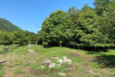 Teren de vânzare – 1036 mp, Căprăreț, Comuna Câineni, jud. Vâlcea Preț negociabi - 3
