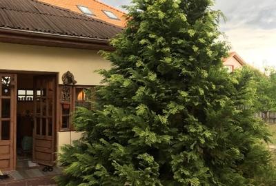 TEREN + CASA Silistea Snagovului toate utilitatile - 3