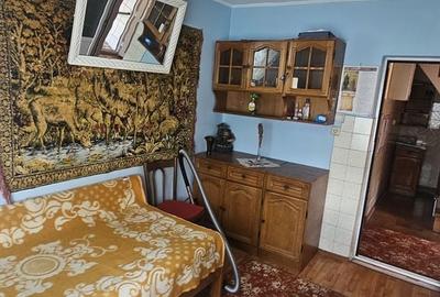 Casă cu 4 camere cu Teren 5500 Mp în Lerești - 2