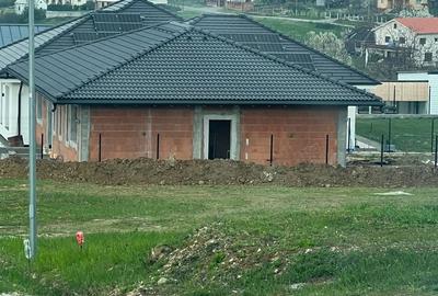 Spațiu comercial, în Săldăbagiu de Munte - 5
