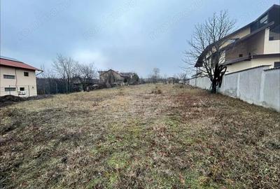 Teren de 3009 mp, în Păulești - 1