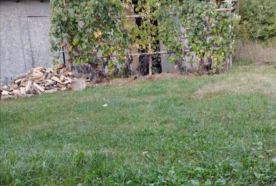 Casa de vanzare la munte - 10