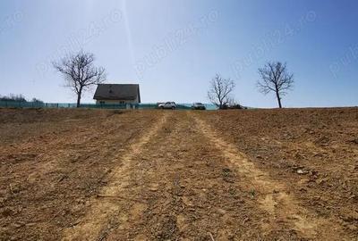 Parcele intravilan cu extravilan Calea Caransebesului km 2 loturi de 1000 mp negociabil - 5