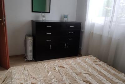 Apartament cu 2 camere semidecomandat în Gorjului - 9