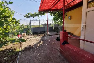 Casa renovabila, 2 camere, zona Cetate - 14