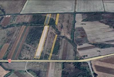 Teren de 28300 mp, în Gavojdia