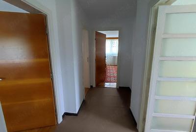 Casă cu 6 camere cu Teren 2000 Mp în Seciu - 8