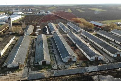 Spațiu industrial, de 16,000 mp, în Pufești - 3