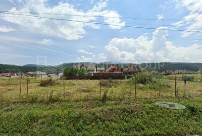 Teren Construcții intravilan de 1441 mp, în Florilor - 2