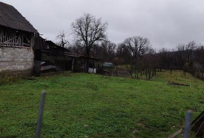 Casă cu 4 camere în Valea Siliștii - 5