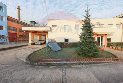 Spațiu industrial, de 1,407.1999511719 mp, în Vest - 1