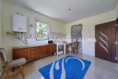 Casă cu 6 camere în Bejan - 20