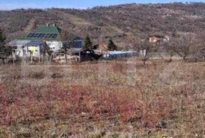 Teren de 860 mp, în Podgoria - 8