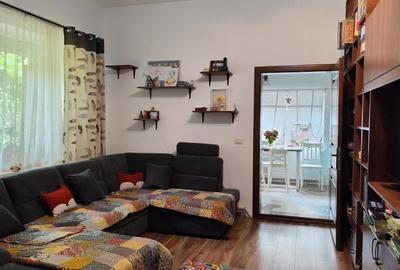 Casă cu 2 camere nedecomandat în Iosefin - 12