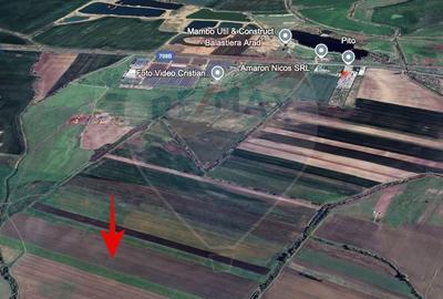 Teren agricol extravilan de 15000 mp, în Exterior Nord
