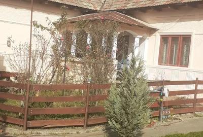 Casa cu curte mare ?i vie pe spalieri - 7