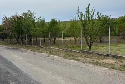 Teren de 570 mp, în Petrăchioaia - 4