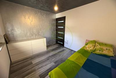 Apartament cu 3 camere decomandat, mobilat în Lăpuș Argeș - 6