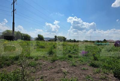 Oportunitate! Teren extravilan de 16 Ari Ideal pentru In - 1