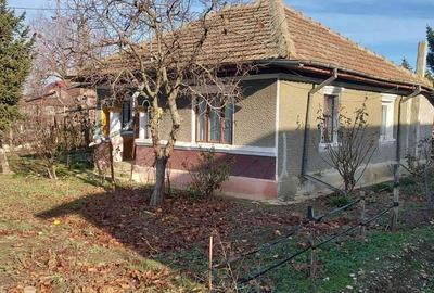 Cosereni, Ialomita