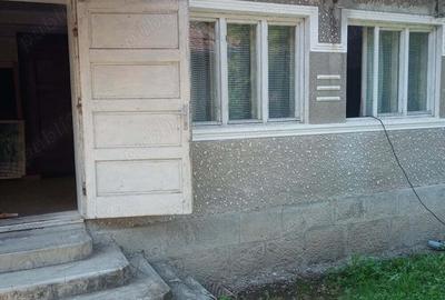 Casa satRostoci com. Plescuta jus. Arad - 5