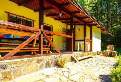 Tur 3D!Cabana de vacanta,zonare valoroasa, cu teren de 2.100 mp,Vladeni,Brasov - 7