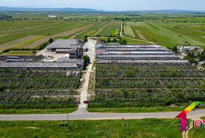 Teren 100.000 mp + Spatii Industriale Bacau