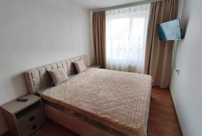 De vanzare apartament cu o camera zona Dambovita - 3