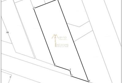 Satu Mare, Vetis, Teren mare cu front generos - 3