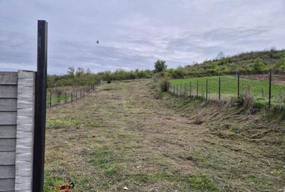 Spațiu comercial, în Podari - 3