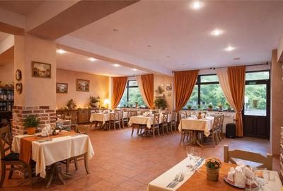 Pensiune Poiana Brasov, Central, oportunitate investitie de - 3