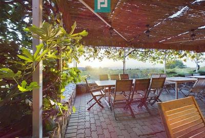 Casă individuală cu 6 camere cu Canalizare în Miniș - 28