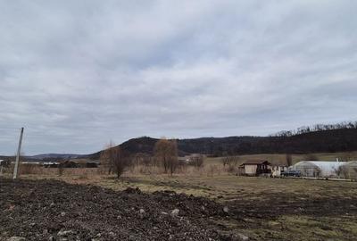 Spațiu comercial, în Voiniceni - 4