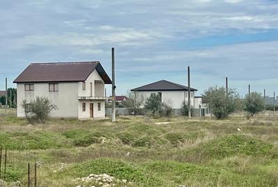 Teren intravilan Lumina, lac si canalul Dunare-Marea Neagra pentru investie - 9