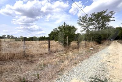 Teren Construcții extravilan de 29600 mp, în Nord-Vest - 13