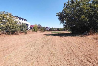 VANZARE TEREN INTRAVILAN  MAGURELE  2530 mp zona CODRULUI - 4