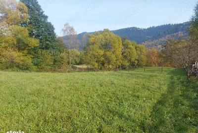 Spre vanzare proprietate 4688 mp in Campulung Moldovenesc - 9