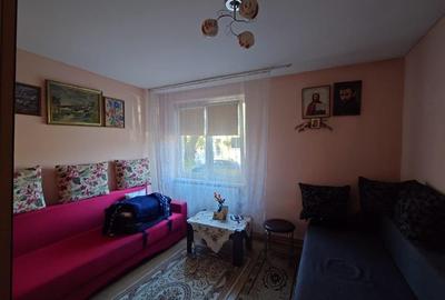 Apartament 2 camere, 45 mp, parter - Orasul Nou, Brad - 14